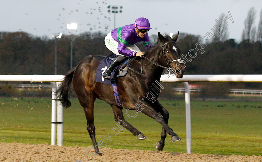 Heavenly-Holly-0005 
 HEAVENLY HOLLY (Josephine Gordon) wins The sunracing.co.uk Novice Stakes
Wolverhampton 28 Nov 2018 - Pic Steven Cargill / Racingfotos.com