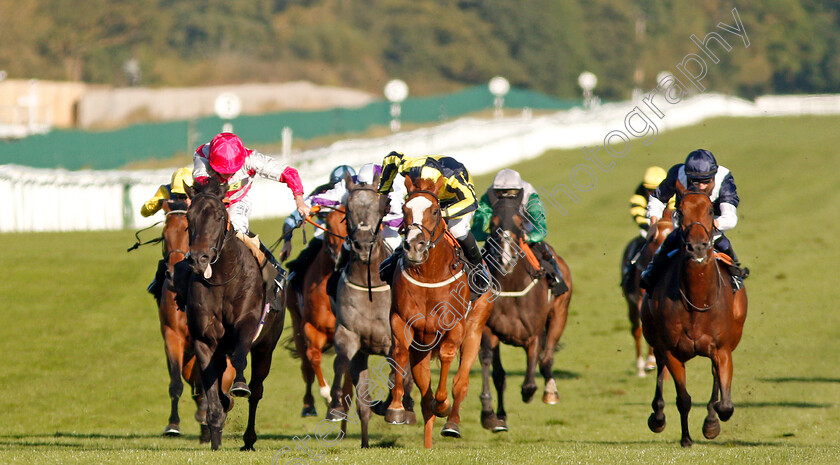 Entrusting-0001 
 ENTRUSTING (left, Ryan Moore) beats POUR ME A DRINK (centre) in The T T Tents Handicap
Newbury 20 Sep 2019 - Pic Steven Cargill / Racingfotos.com