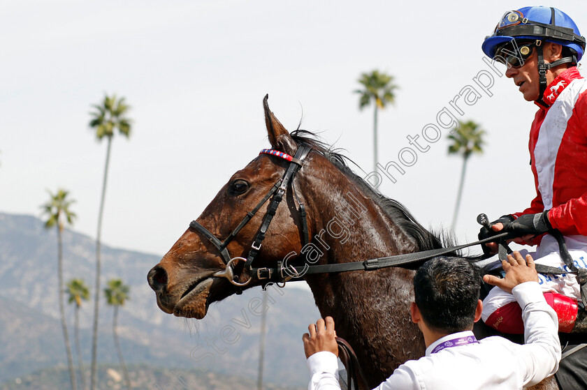 Inspiral-0013 
 INSPIRAL (Frankie Dettori) winner of The Breeders' Cup Filly & Mare Turf
Santa Anita 4 Nov 2023 - Pic Steven Cargill / Racingfotos.com