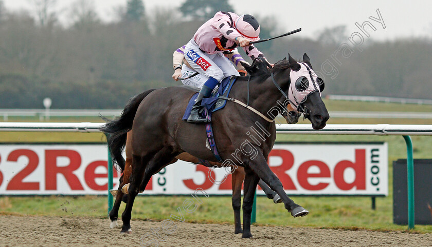 Black-Dave-0003 
 BLACK DAVE (Fran Berry) wins The Betway Classified Selling Stakes Lingfield 20 Dec 2017 - Pic Steven Cargill / Racingfotos.com