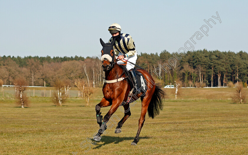 Soul-Icon-0001 
 SOUL ICON (Frederick Procter)
Market Rasen 19 Apr 2021 - Pic Steven Cargill / Racingfotos.com