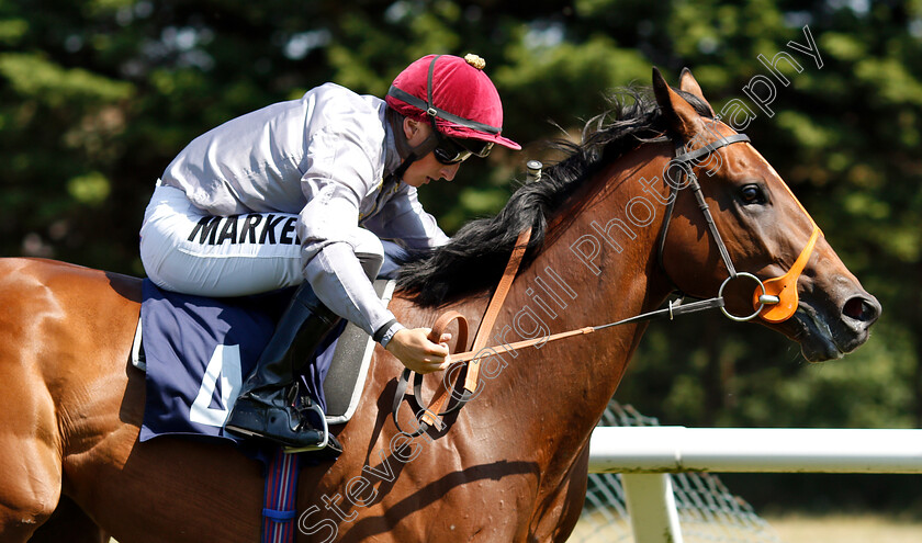 Sharg-0001 
 SHARG (Tom Marquand)
Brighton 3 Jul 2018 - Pic Steven Cargill / Racingfotos.com