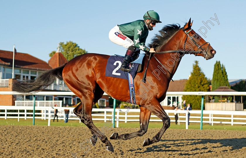 Faisal-0001 
 FAISAL (Hollie Doyle) before winning The Betway Maiden Stakes Div2
Lingfield 4 Aug 2020 - Pic Steven Cargill / Racingfotos.com