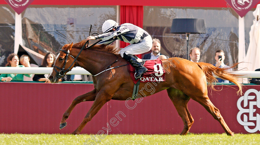 Albigna-0005 
 ALBIGNA (Shane Foley) wins The Qatar Prix Marcel Boussac
Longchamp 6 Oct 2019 - Pic Steven Cargill / Racingfotos.com