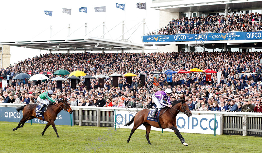 Magna-Grecia-0005 
 MAGNA GRECIA (Donnacha O'Brien) beats KING OF CHANGE (left) in The Qipco 2000 Guineas
Newmarket 4 May 2019 - Pic Steven Cargill / Racingfotos.com