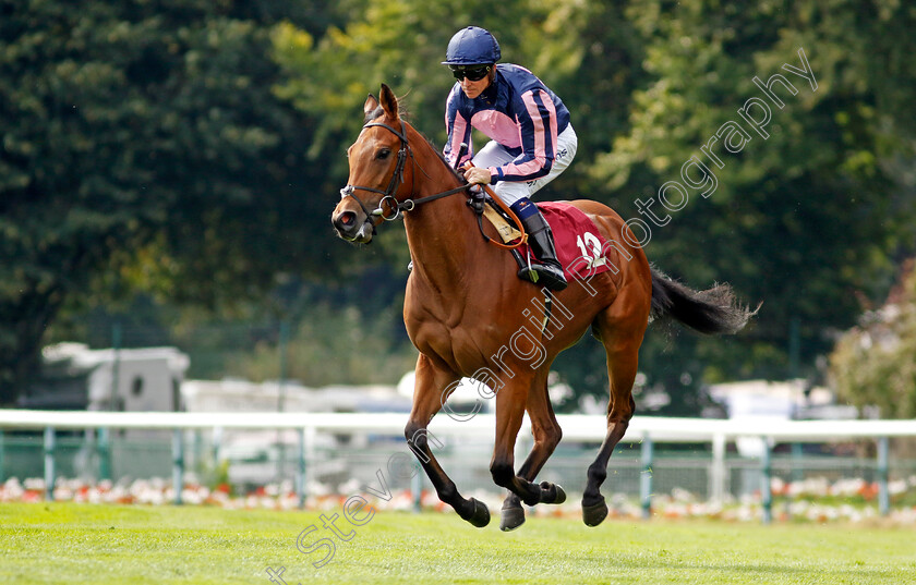 Lady-Miller-0001 
 LADY MILLER (Jim Crowley)
Haydock 2 Sep 2022 - Pic Steven Cargill / Racingfotos.com