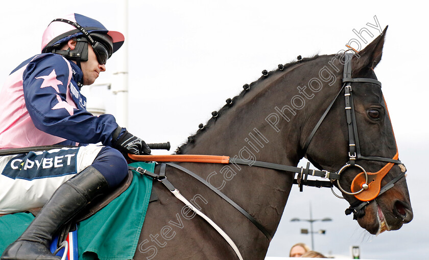 Third-Time-Lucki-0003 
 THIRD TIME LUCKI (Jonathan Burke)
Cheltenham 17 Nov 2024 - Pic Steven Cargill / Racingfotos.com