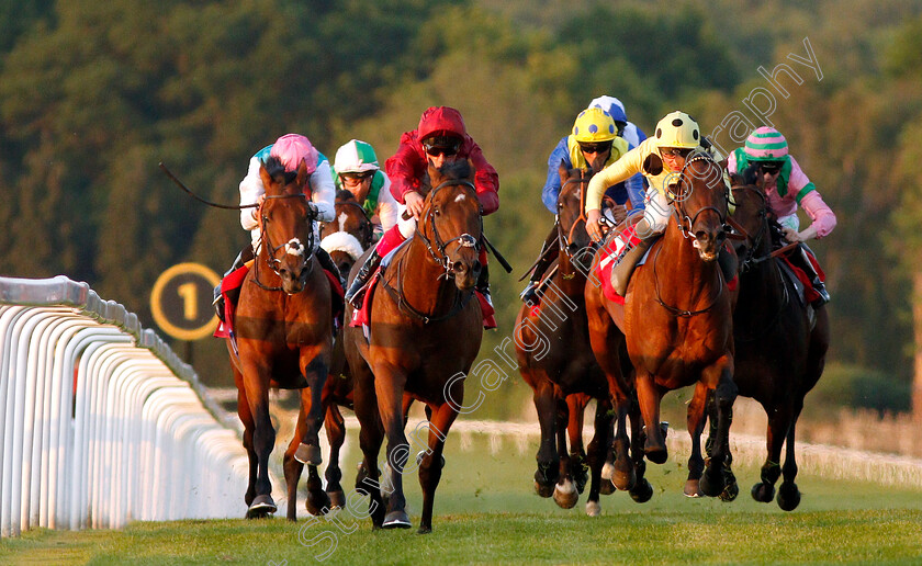 King-Of-Comedy-0002 
 KING OF COMEDY (2nd left, Frankie Dettori) beats ROSEMAN (2nd right) and SANGARIUS (left) in The Matchbook Low Commission Exchange Heron Stakes
Sandown 23 May 2019 - Pic Steven Cargill / Racingfotos.com