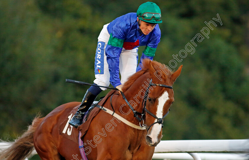 Rockit-Tommy-0004 
 ROCKIT TOMMY (David Probert) winner of The Highclere Castle Feeds Handicap
Kempton 2 Oct 2024 - Pic Steven Cargill / Racingfotos.com