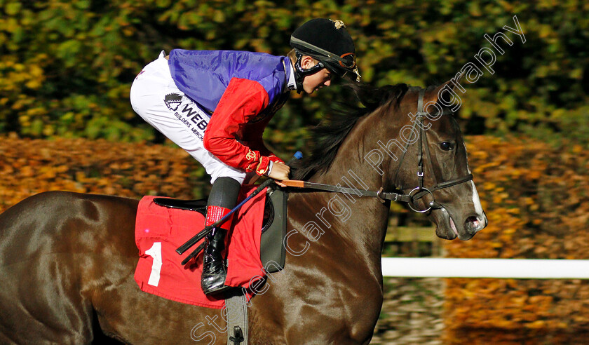 Cranberry-0001 
 CRANBERRY (Angus Villiers)
Kempton 20 Nov 2019 - Pic Steven Cargill / Racingfotos.com