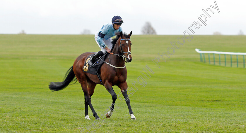 Spycatcher-0001 
 SPYCATCHER (Clifford Lee) winner of The 888sport British EBF Conditions Stakes
Newmarket 29 Oct 2021 - Pic Steven Cargill / Racingfotos.com