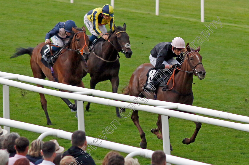 Plus-Point-0001 
 PLUS POINT (George Wood) wins The Venture Security Handicap
Newbury 27 Jul 2023 - Pic Steven Cargill / Racingfotos.com