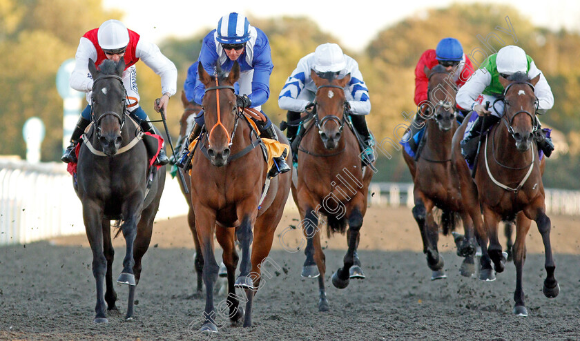 Masaakin-0008 
 MASAAKIN (centre, Jim Crowley) beats GLAMOROUS ANNA (left) in The 32Red.com British Stallion Studs EBF Fillies Novice Stakes
Kempton 2 Oct 2019 - Pic Steven Cargill / Racingfotos.com