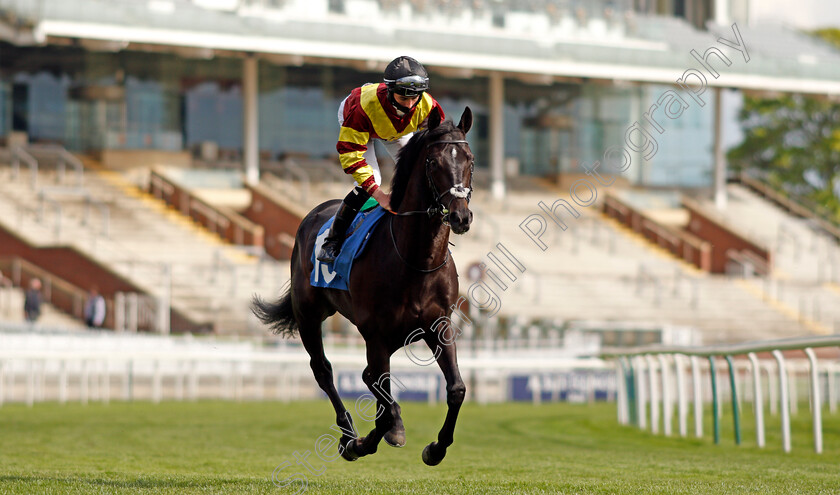 Flyin -Solo-0001 
 FLYIN' SOLO (Rossa Ryan) winner of The Conundrum HR Consulting Handicap
York 12 May 2021 - Pic Steven Cargill / Racingfotos.com