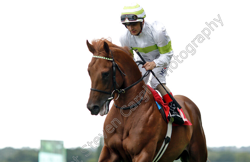 Drap-D or-0002 
 DRAP D'OR (Andrea Atzeni)
Sandown 16 Jun 2018 - Pic Steven Cargill / Racingfotos.com