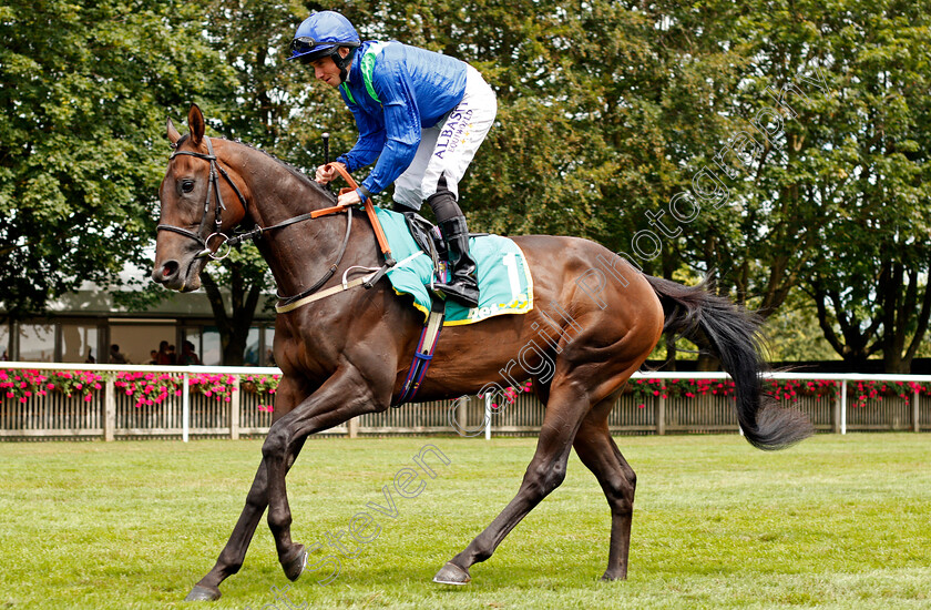 Victory-Command-0001 
 VICTORY COMMAND (Ryan Moore)
Newmarket 13 Jul 2019 - Pic Steven Cargill / Racingfotos.com