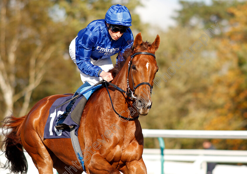 Sayyida-0002 
 SAYYIDA (William Buick)
Lingfield 28 Oct 2021 - Pic Steven Cargill / Raingfotos.com