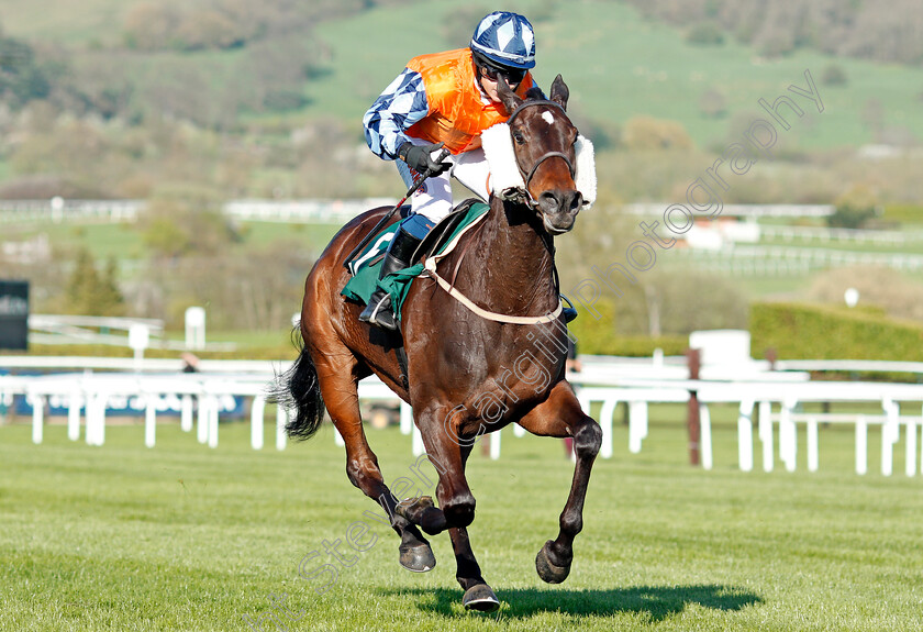 Hawthorn-Cottage-0003 
 HAWTHORN COTTAGE (Lucy Barry) wins The Spreadex Sports Betting Mares' Standard Open National Hunt Flat Race Cheltenham 19 Apr 2018 - Pic Steven Cargill / Racingfotos.com