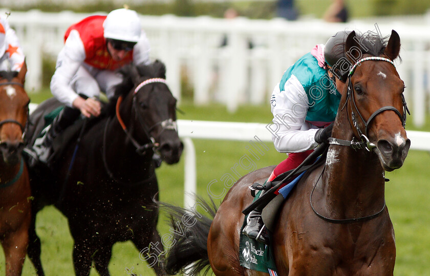 Calyx-0007 
 CALYX (Frankie Dettori) wins The Merriebelle Stable Commonwealth Cup Trial Stakes
Ascot 1 May 2019 - Pic Steven Cargill / Racingfotos.com