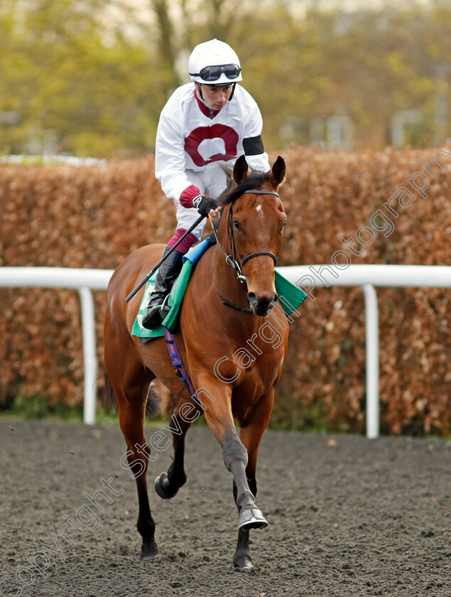 Mamdoh-0002 
 MAMDOH (Oisin Murphy)
Kempton 3 Apr 2024 - Pic Steven Cargill / Racingfotos.com