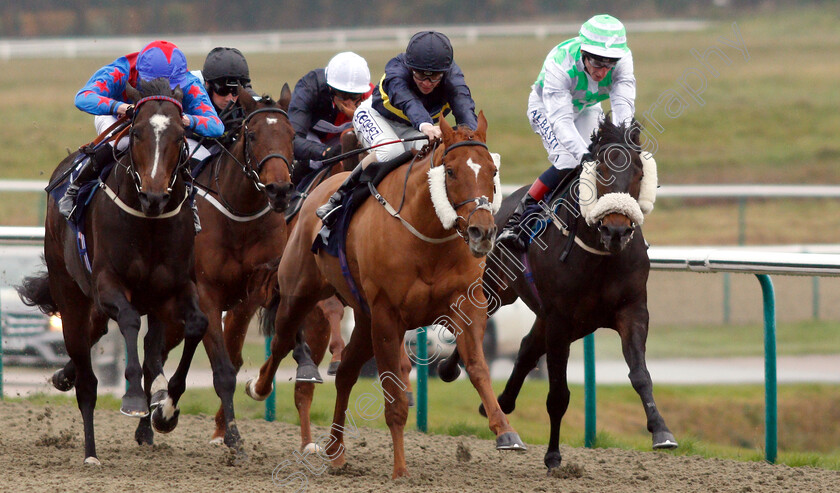 Mujassam-0001 
 MUJASSAM (centre) with LOS CAMACHOS (left) and UNFORGIVING MINUTE (right)
Lingfield 20 Nov 2018 - Pic Steven Cargill / Racingfotos.com