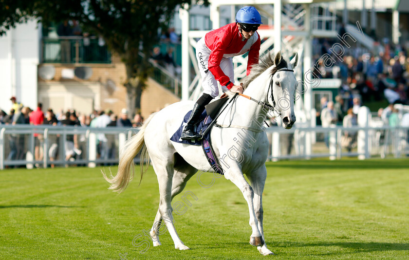 Estrange-0004 
 ESTRANGE (Daniel Tudhope)
Yarmouth 18 Sep 2024 - Pic Steven Cargill / Racingfotos.com