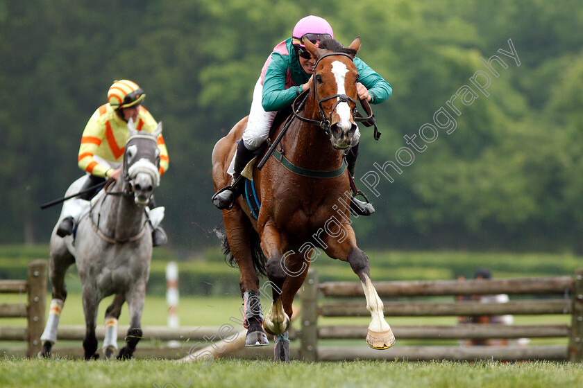 Schoodic-0003 
 SCHOODIC (Hadden Frost) wins The Mason Houghland Memorial Timber Chase
Percy Warner Park, Nashville Tennessee USA, 11 May 2019 - Pic Steven Cargill / Racingfotos.com