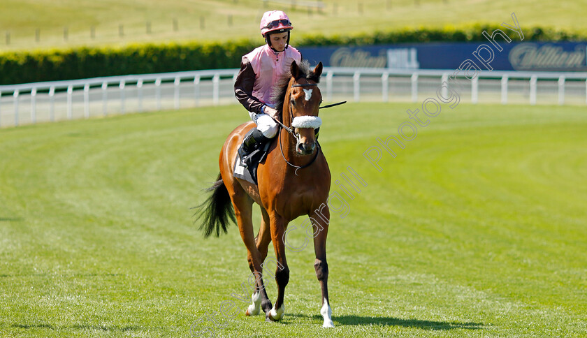 Come-Together-0001 
 COME TOGETHER (Rossa Ryan)
Goodwood 26 May 2023 - Pic Steven Cargill / Racingfotos.com