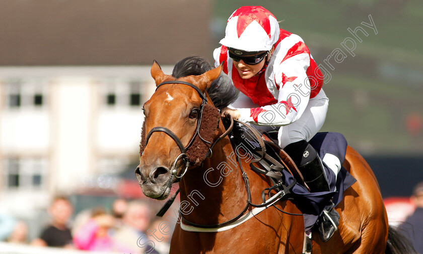 Dubai-Acclaim-0006 
 DUBAI ACCLAIM (Sammy Jo Bell) wins The Mondialiste Leger Legends Classified Stakes
Doncaster 11 Sep 2019 - Pic Steven Cargill / Racingfotos.com