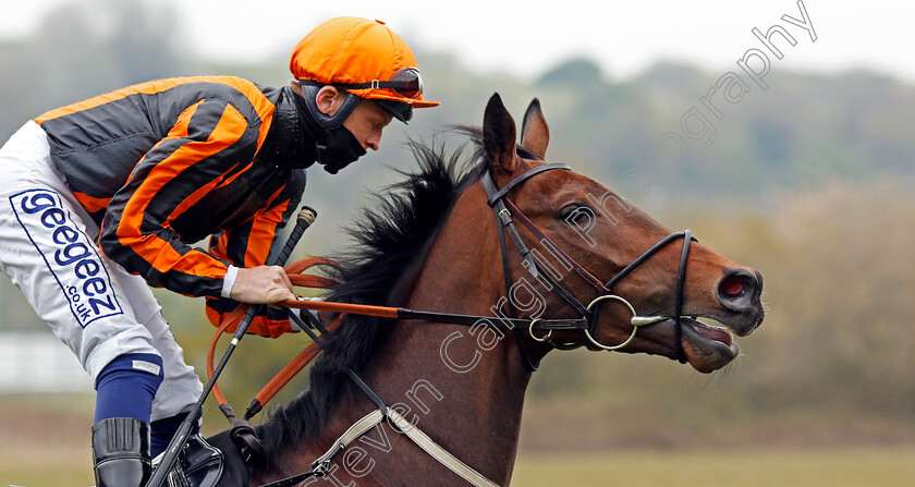 King-Of-Clubs-0001 
 KING OF CLUBS (David Probert)
Nottingham 27 Apr 2021 - Pic Steven Cargill / Racingfotos.com