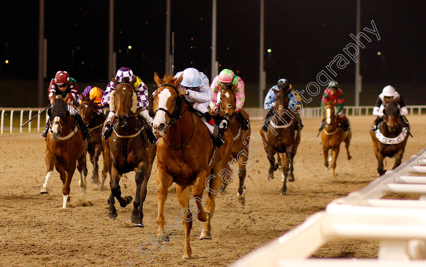 Houlton-0003 
 HOULTON (Gabriele Malune) wins The Double Delight Hat-Trick Heaven At totesport.com Handicap
Chelmsford 29 Nov 2018 - Pic Steven Cargill / Racingfotos.com