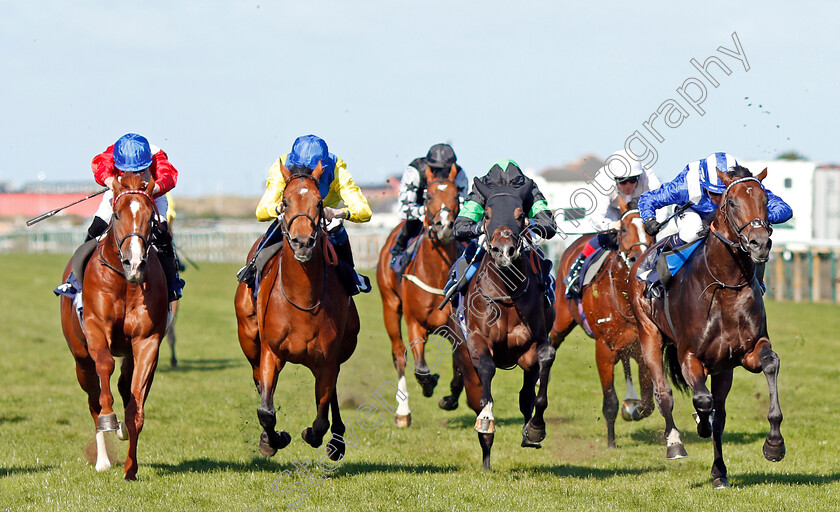 Maqtal-0005 
 MAQTAL (right, Jim Crowley) beats ZAFEER (2nd left) and KINSMAN (left) in The British Stallion Studs EBF Maiden Stakes
Yarmouth 18 Sep 2019 - Pic Steven Cargill / Racingfotos.com