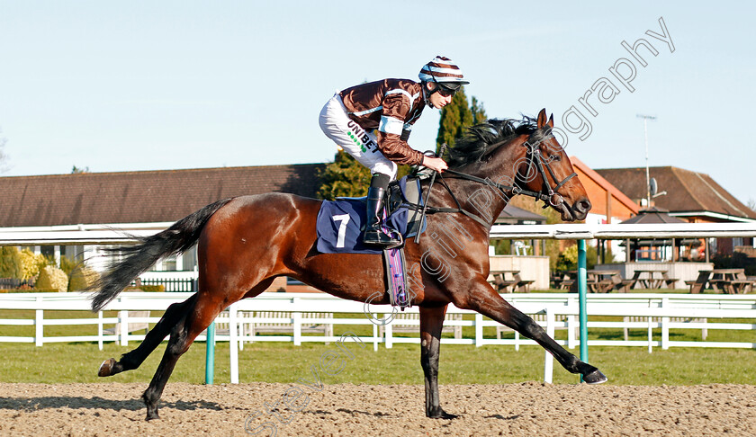 Corazon-Espinado-0001 
 CORAZON ESPINADO (Luke Morris)
Lingfield 8 Feb 2020 - Pic Steven Cargill / Racingfotos.com