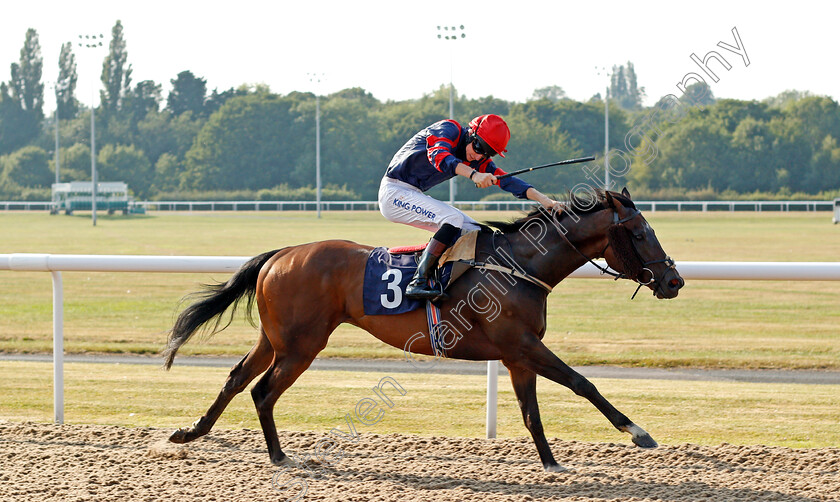 Global-Acclamation-0001 
 GLOBAL ACCLAMATION (Joshua Bryan)
Wolverhampton 11 Aug 2020 - Pic Steven Cargill / Racingfotos.com