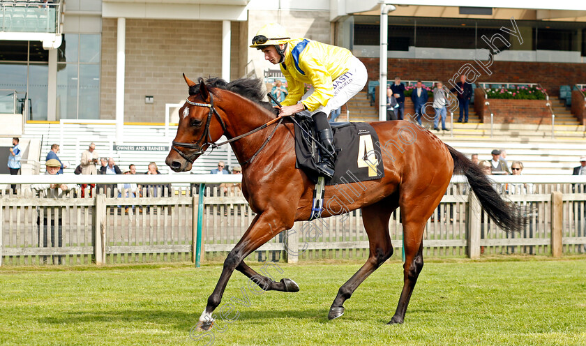 Garden-Route-0001 
 GARDEN ROUTE (Ryan Moore)
Newmarket 22 Sep 2022 - Pic Steven Cargill / Racingfotos.com