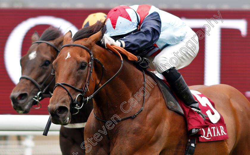 Sir-Dancealot-0005 
 SIR DANCEALOT (Gerald Mosse) wins The Qatar Lennox Stakes
Goodwood 30 Jul 2019 - Pic Steven Cargill / Racingfotos.com