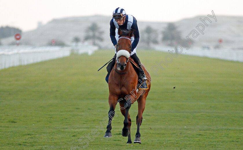 Thorkhill-Star-0001 
 THORKHILL STAR (James Doyle)
Bahrain 22 Nov 2019 - Pic Steven Cargill / Racingfotos.com