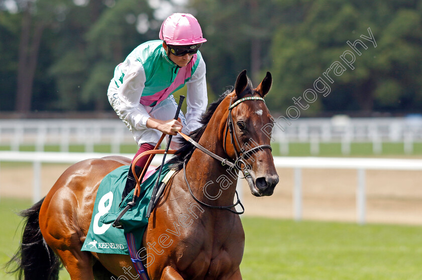 Palm-Lily-0002 
 PALM LILY (Rob Hornby)
Ascot 23 Jul 2022 - Pic Steven Cargill / Racingfotos.com