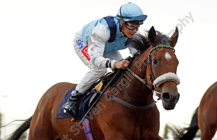 My-Honey-B-0001 
 MY HONEY B (Joanna Mason) wins The Cazoo Nursery
Southwell 4 Oct 2022 - Pic Steven Cargill / Racingfotos.com