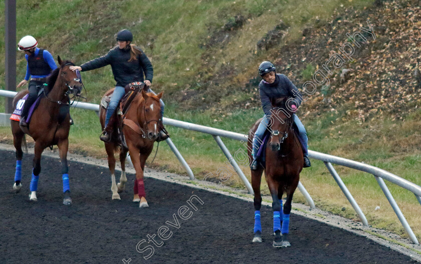 Mishriff-0002 
 MISHRIFF training for the Breeders' Cup Turf whilst NASHWA (Filly & Mare Turf) recieves a pat from the outrider
Keeneland USA 1 Nov 2022 - Pic Steven Cargill / Racingfotos.com