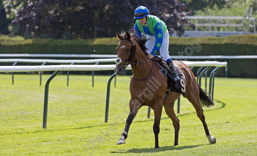 Prince-Of-Bel-Lir-0001 
 PRINCE OF BEL LIR (Alice Bond)
Nottingham 19 Jul 2024 - Pic Steven Cargill / Megan Dent / Racingfotos.com