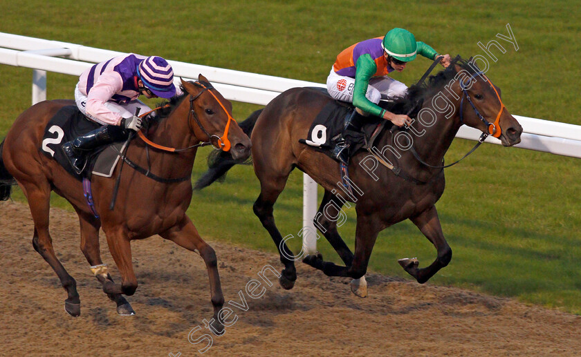 Episcia-0003 
 EPISCIA (right, Aaron Jones) beats GHEPARDO (left) in The Bet toteJackpot At betfred.com Novice Auction Stakes Chelmsford 26 Sep 2017 - Pic Steven Cargill / Racingfotos.com