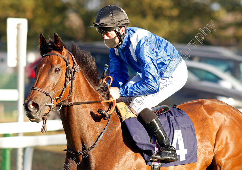 Areehaa-0002 
 AREEHAA (Dane O'Neill)
Yarmouth 25 Aug 2020 - Pic Steven Cargill / Racingfotos.com