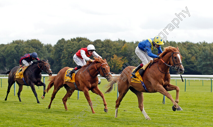 Dream-Of-Dreams-0004 
 DREAM OF DREAMS (Oisin Murphy) beats GOLDEN HORDE (2nd right) in The Betfair Sprint Cup
Haydock 5 Sep 2020 - Pic Steven Cargill / Racingfotos.com