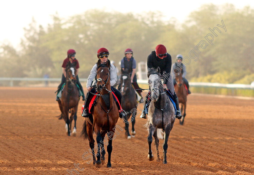 Downdraft-and-Speak-In-Colours-0001 
 DOWNDRAFT (left) and SPEAK IN COLOURS (right) preparing for Saudi Cup Day
Riyadh Racetrack, Kingdom Of Saudi Arabia, 27 Feb 2020 - Pic Steven Cargill / Racingfotos.com