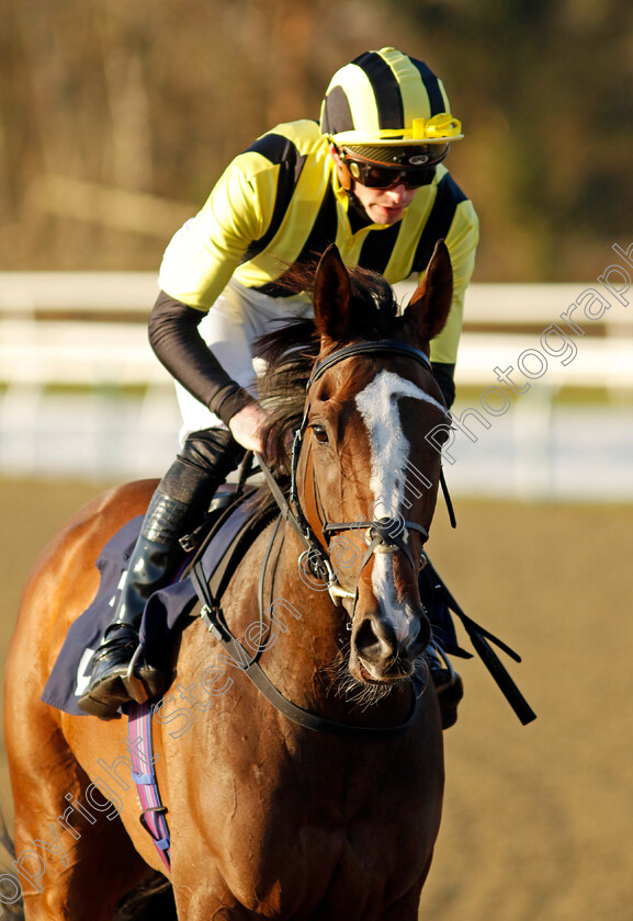 Al-Agaila-0005 
 AL AGAILA (James Doyle) winner of The Talksport Winter Oaks Fillies Handicap
Lingfield 21 Jan 2023 - Pic Steven Cargill / Racingfotos.com