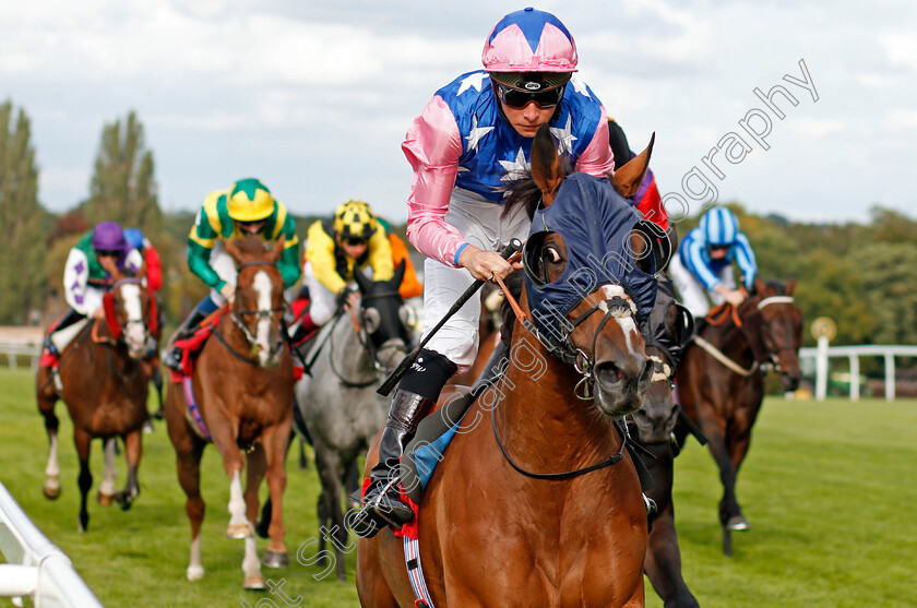 Seinesational-0003 
 SEINSATIONAL (Jason Watson) wins The Read Andrew Balding On Betway Insider Handicap
Sandown 23 Aug 2020 - Pic Steven Cargill / Racingfotos.com