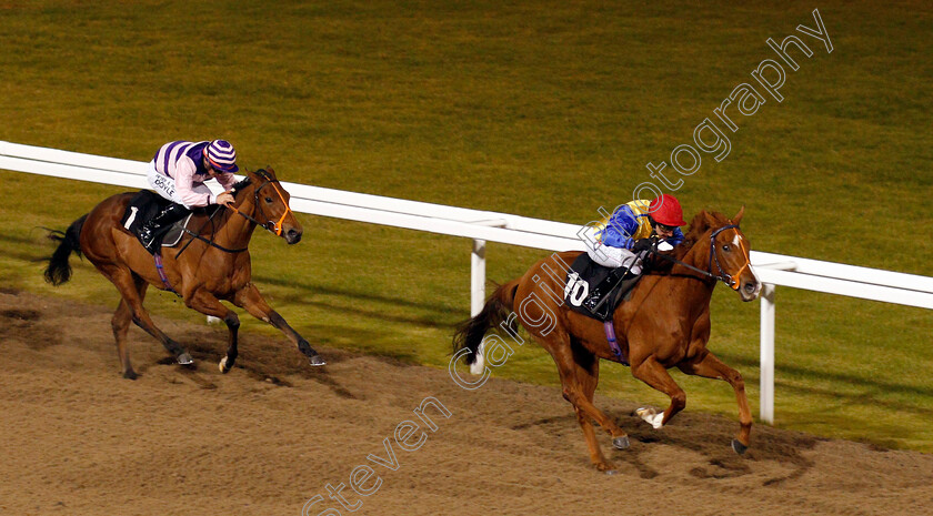 Restless-Rose-0002 
 RESTLESS ROSE (P J McDonald) beats GHEPARDO (left) in The Bet totequadpot At betfred.com Fillies Novice Stakes Div2 Chelmsford 1 Dec 2017 - Pic Steven Cargill / Racingfotos.com