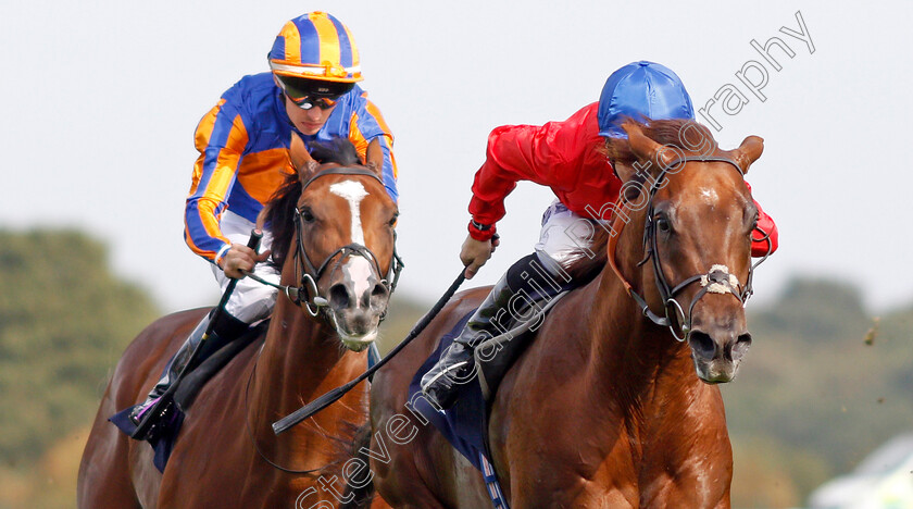 Threat-0006 
 THREAT (Pat Dobbs) wins The Pommery Champagne Stakes
Doncaster 14 Sep 2019 - Pic Steven Cargill / Racingfotos.com