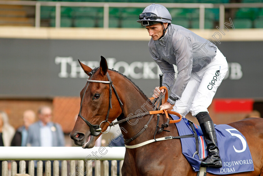 Electric-Eyes-0001 
 ELECTRIC EYES (Daniel Tudhope)
Newmarket 23 Sep 2022 - Pic Steven Cargill / Racingfotos.com